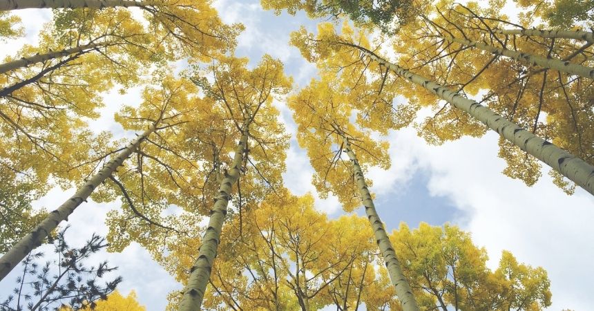 The Power of Perspective: Shifting How We See Behavioral Issues In Children