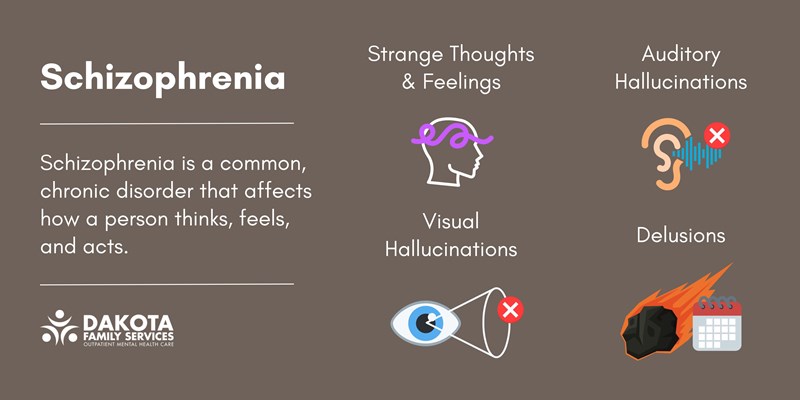 Symptoms of Schizophrenia infographic
