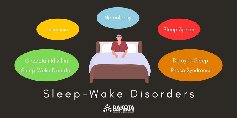 Sleep-Wake Disorders examples infographic